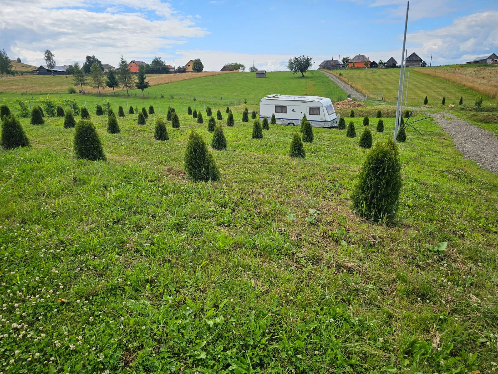 Spațiul verde destinat rulotelor, autorulotelor și corturilor