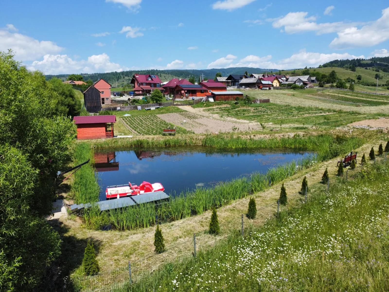 Lacul și hidrobicicleta din incinta Campingplatz Vilcan