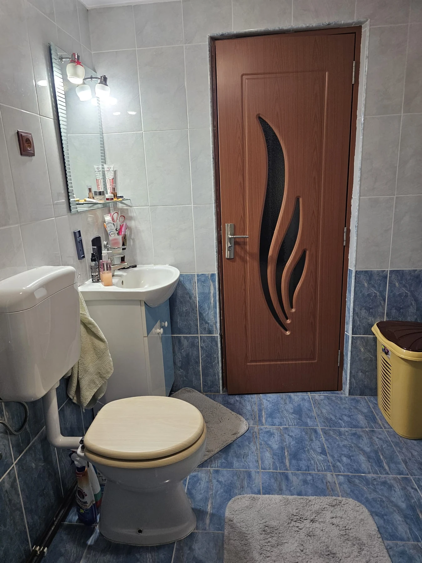 Baie cu lavoar și toaletă la Pensiunea Vilcan