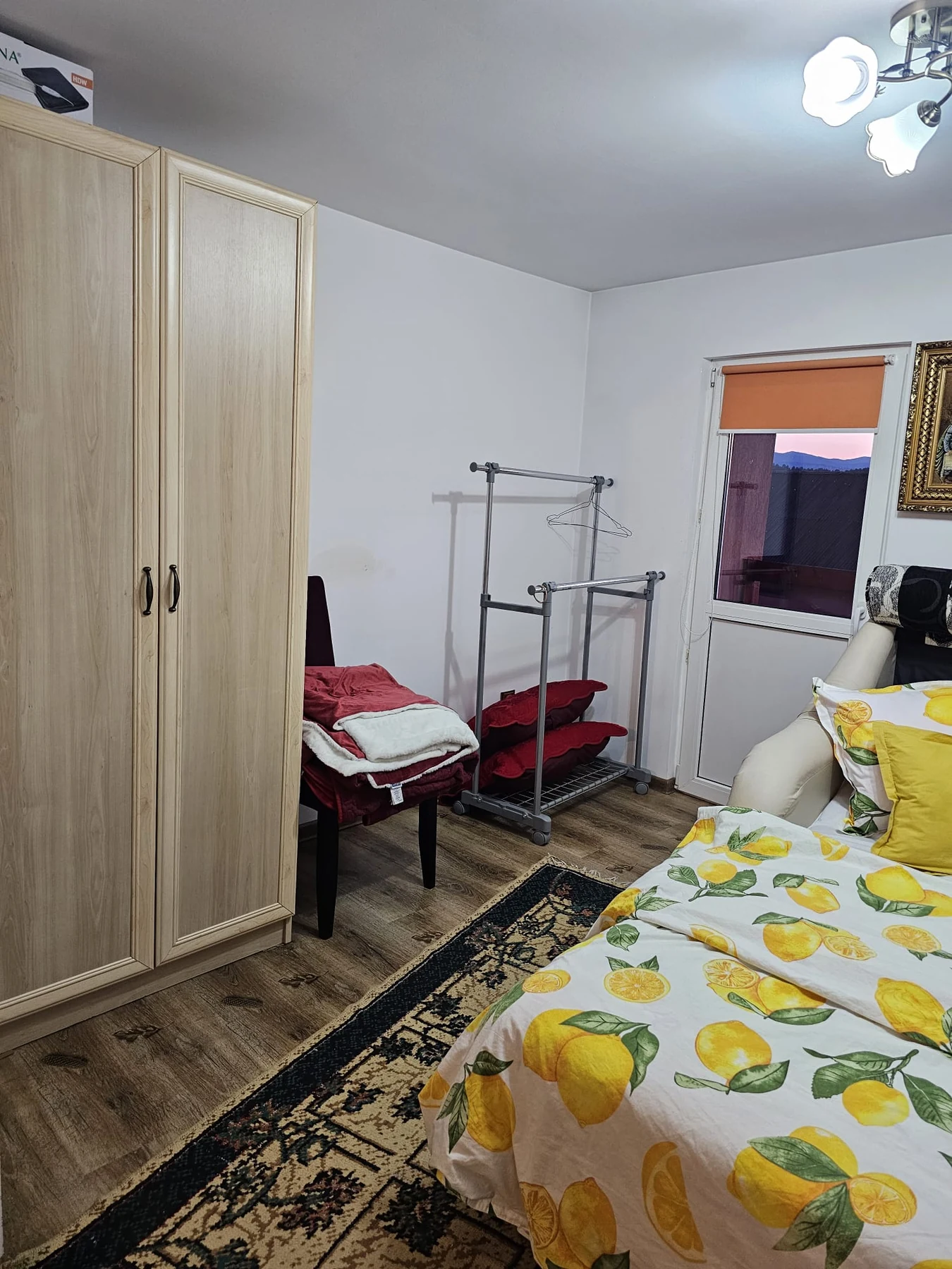 Cameră cu spațiu de depozitare la Pensiunea Vilcan