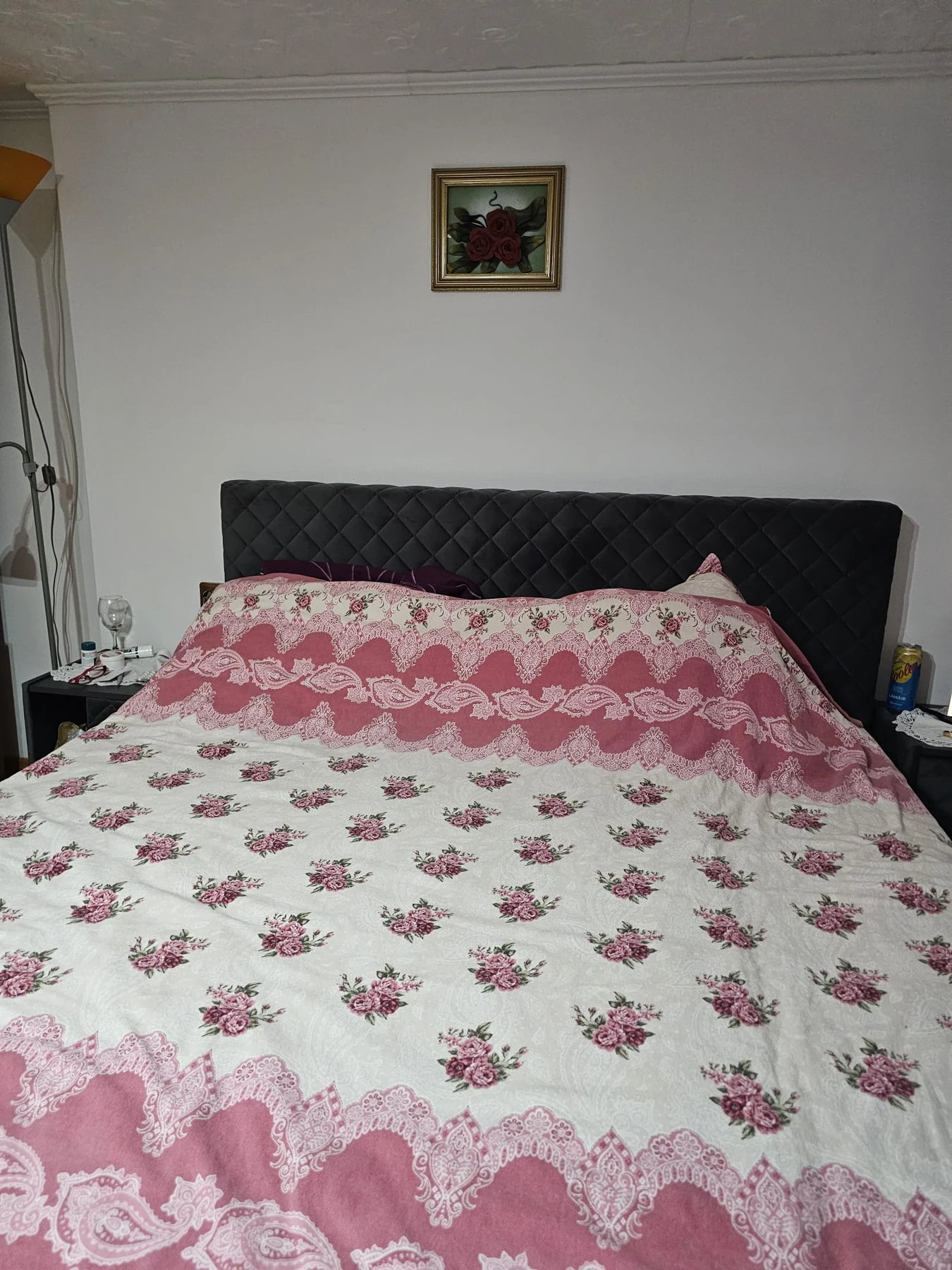 Cameră cu pat dublu la Pensiunea Vilcan